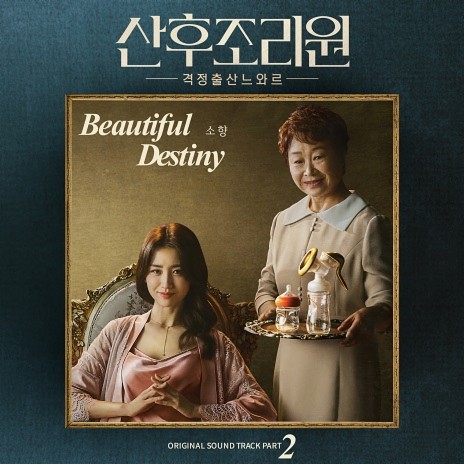 Beautiful Destiny | Boomplay Music
