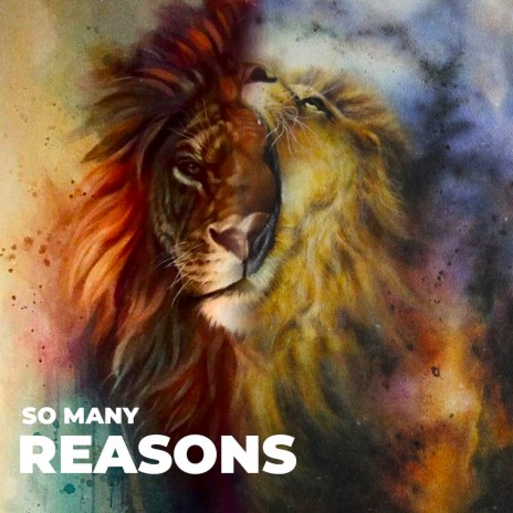 So Many Reasons ft. DJ Kaue00s