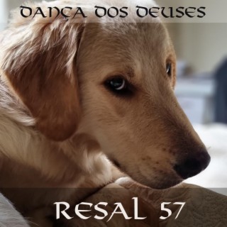 Dança Dos Deuses (Radio Edit)