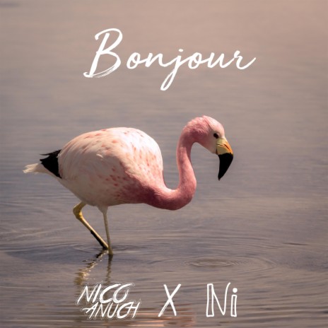 Bonjour | Boomplay Music