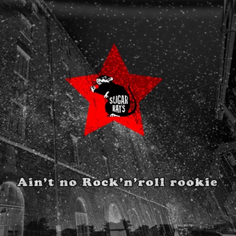 Ain't no Rock 'n'Roll Rookie | Boomplay Music