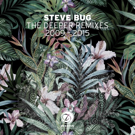 Frequencies (Steve Bug Flying Faders Remix) | Boomplay Music