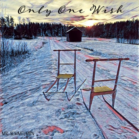 Only One Wish | Boomplay Music