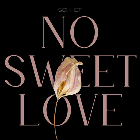 No Sweet Love (Korean Version) | Boomplay Music