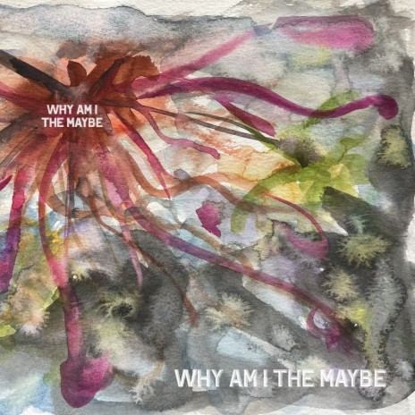 why am i the maybe | Boomplay Music
