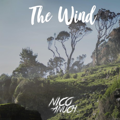 The Winds | Boomplay Music