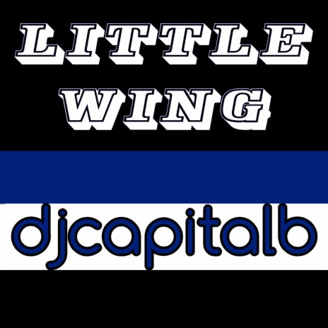LITTLE WING | Boomplay Music