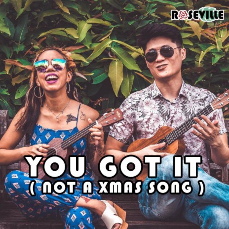 You Got It (Not a Xmas Song) | Boomplay Music