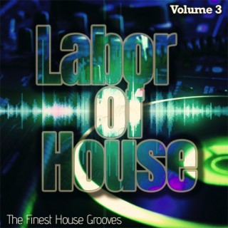 Labor of House, Volume 3 - the Finest House Grooves