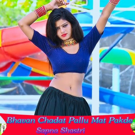 Bhavan Chadat Pallu Mat Pakde | Boomplay Music