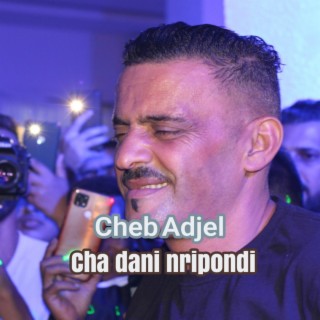 cha dani nripondi