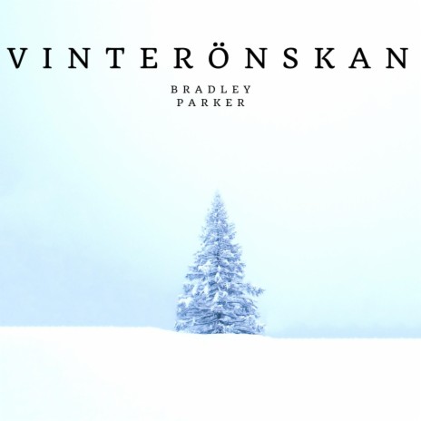 Vinterönskan (Winter Wish) | Boomplay Music