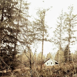 Shrine in an Outlandish Town