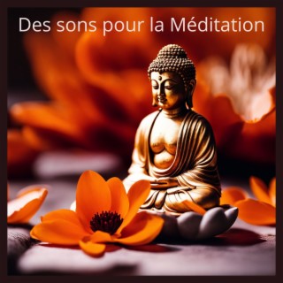 Des sons pour la méditation: Musique zen relaxante pour guérir les blessures du corps et de l'esprit