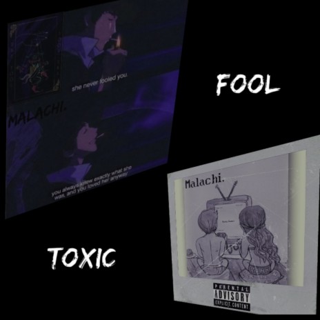 The Fool | Boomplay Music