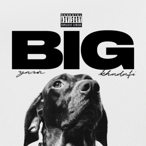 Big dawg | Boomplay Music