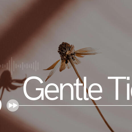 Gentle Tides | Boomplay Music