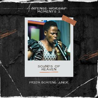 SOUNDS OF HEAVEN (INTENSE WORSHIP MOMENTS VOL 2)