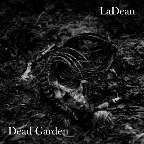Dead Garden | Boomplay Music