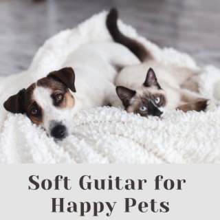 Soft Guitar for Happy Pets: Soft Acoustic Guitar to Relax Your Pets When They're Alone