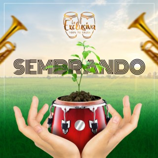 Sembrando