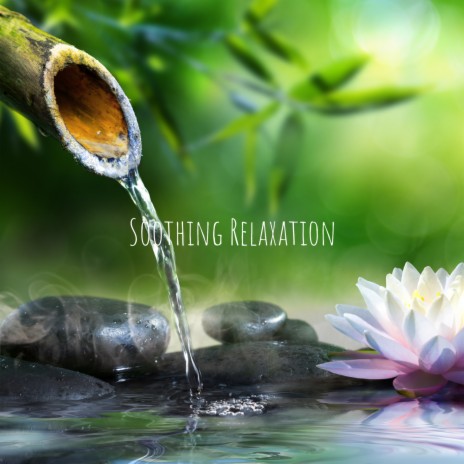 Soothing Relaxation | Boomplay Music