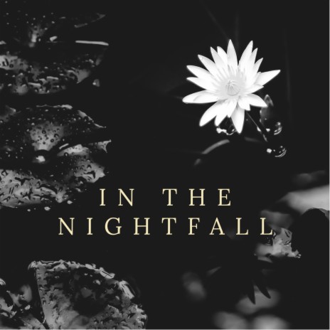 In the nightfall | Boomplay Music