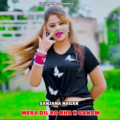 Mera Dil Ro Rha H Sanam | Boomplay Music