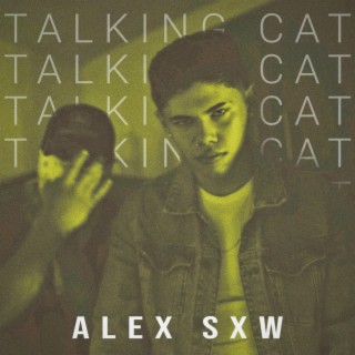 Talking Cat lyrics | Boomplay Music