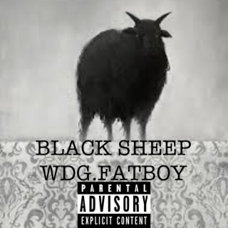 BLACK SHEEP