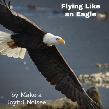 Flying like an Eagle | Boomplay Music