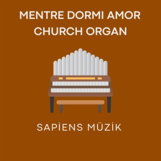 Mentre Dormi Amor Church Organ