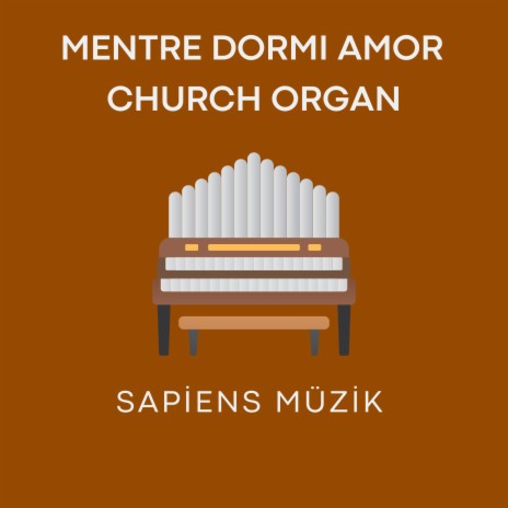 Del destin non vi lagnate, Aria from L'Olimpiade Church Organ Edition | Boomplay Music