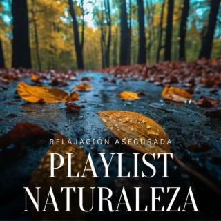 Playlist Naturaleza: Relajación Asegurada con Música y Sonidos Naturales