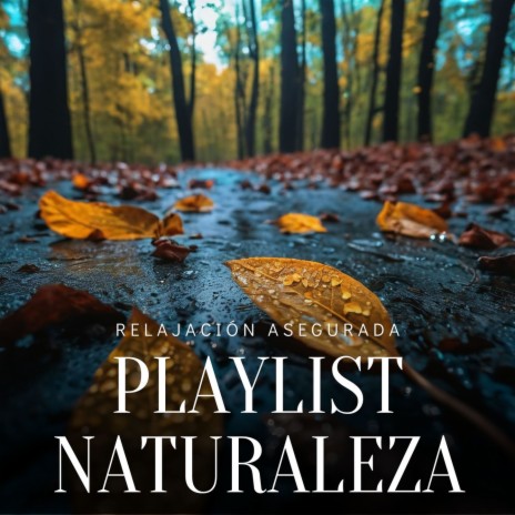 Playlist Naturaleza