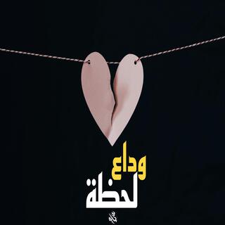 لحظة وداع