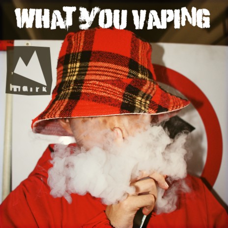 What You Vaping (Dinner Lady Lemon Tart) | Boomplay Music