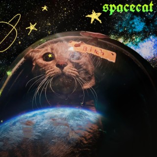 spacecat