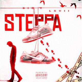 Steppa DISS 3