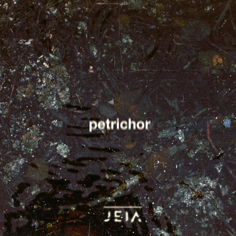 Petrichor | Boomplay Music