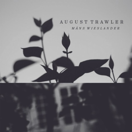 August Trawler | Boomplay Music