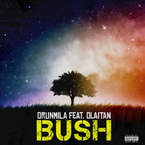 Bush ft. Olaitan | Boomplay Music