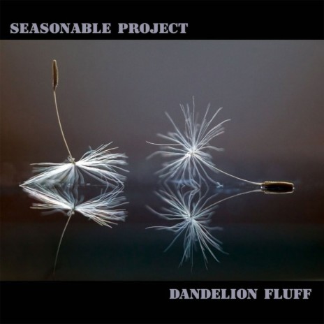 Dandelion Fluff | Boomplay Music