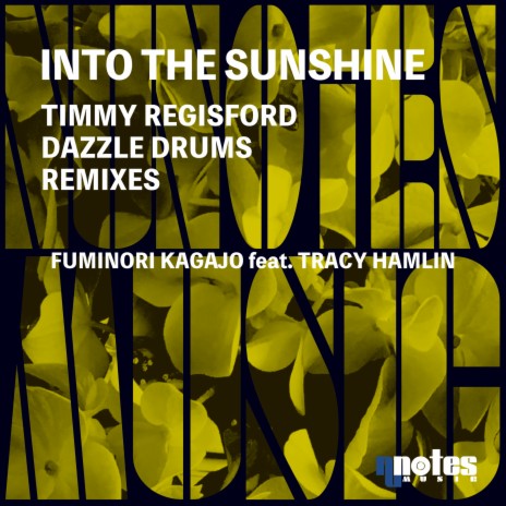 Into the Sunshine (Timmy Regisford Main Remix) ft. Tracy Hamlin | Boomplay Music