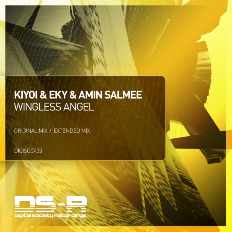 Wingless Angel ft. Amin Salmee | Boomplay Music