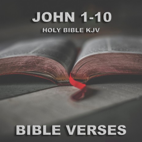 Holy Bible K.J.V. John 9, Pt. 2 | Boomplay Music