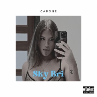 Sky Bri lyrics | Boomplay Music