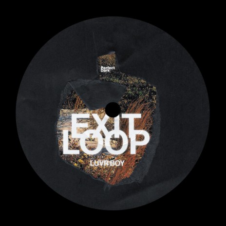 Exit Loop | Boomplay Music