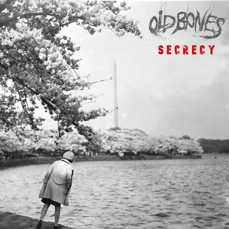 Secrecy | Boomplay Music