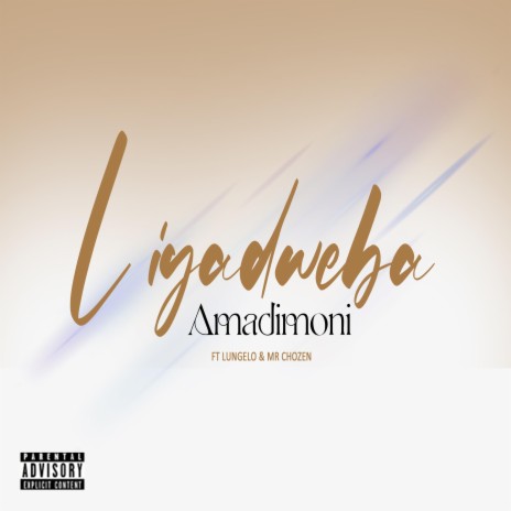 liyadweba ft. amadimoni & Lungelo | Boomplay Music